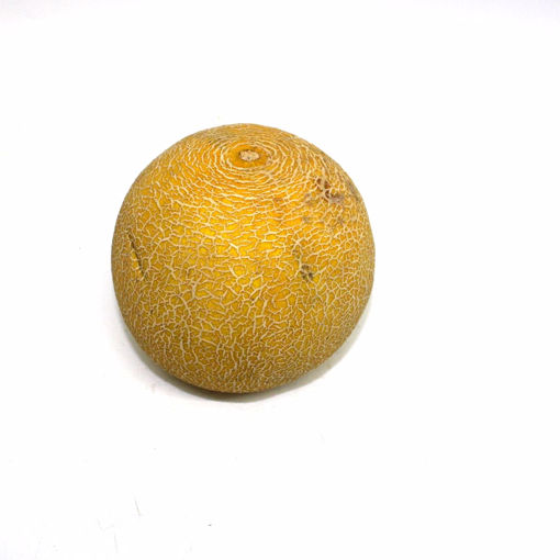 Picture of Melon Galia