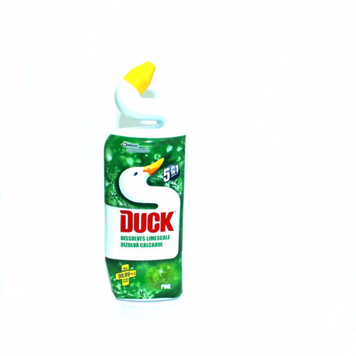 Picture of Duck Liquid Pine 750Ml