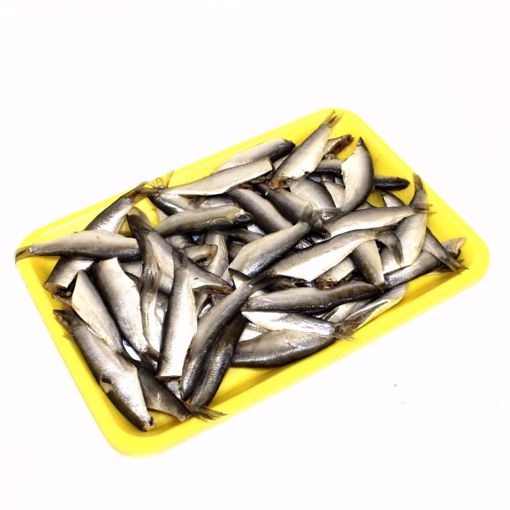 Picture of Sprat (Min. 450Gr)