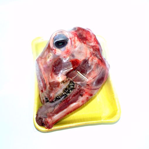 Picture of Lamb Head Single