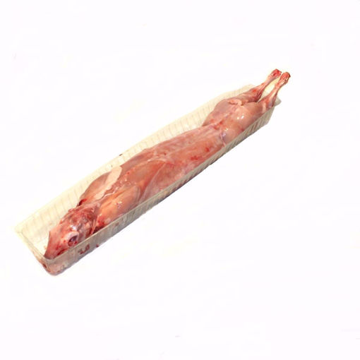 Picture of Rabbit Single (Min. 1.800Gr)