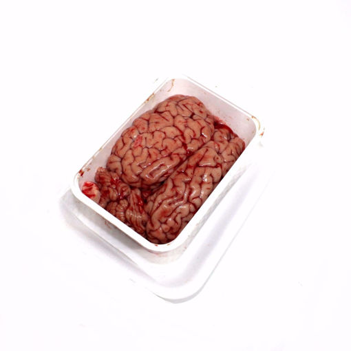 Picture of Veal Brain Single