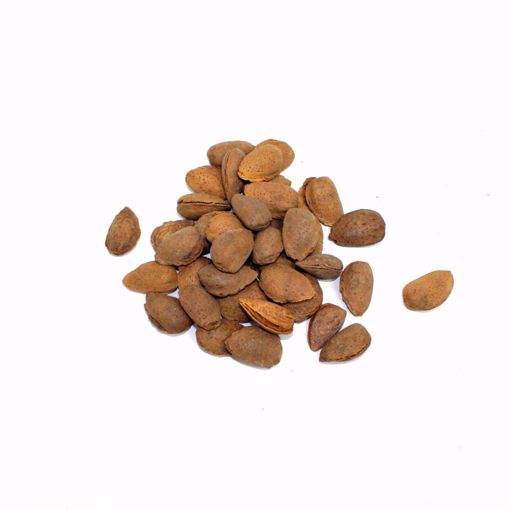 Picture of Fresh Almond 500Gr