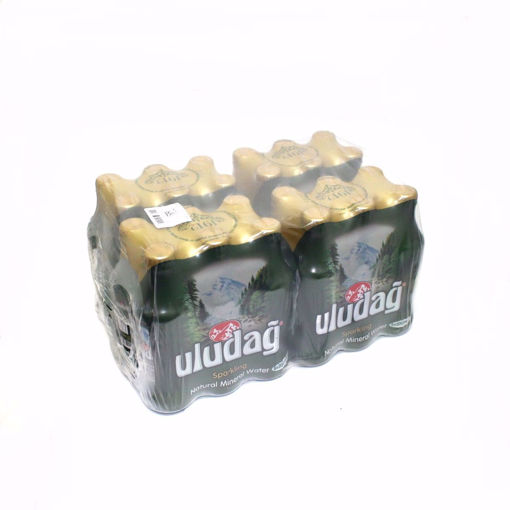 Picture of Uludag Sparkling Water 24X200ml