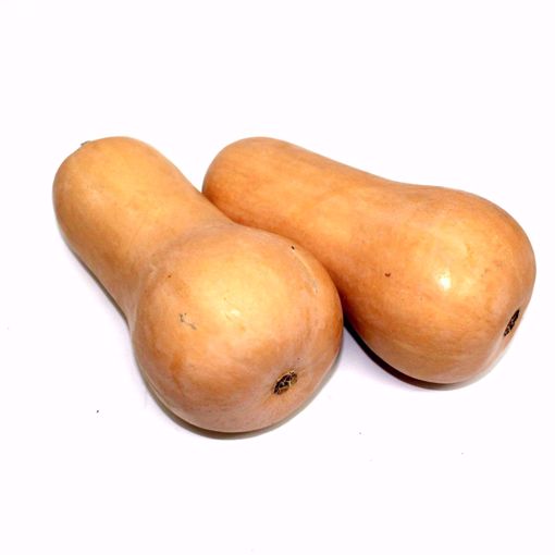 Picture of Butternut Squash Single (Min. 1.150Gr)