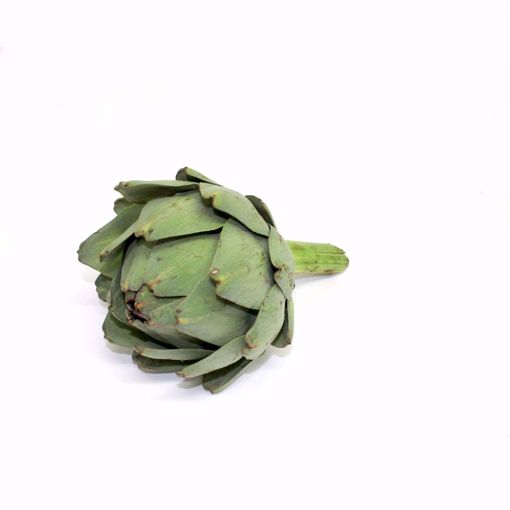 Picture of Artichoke Single 