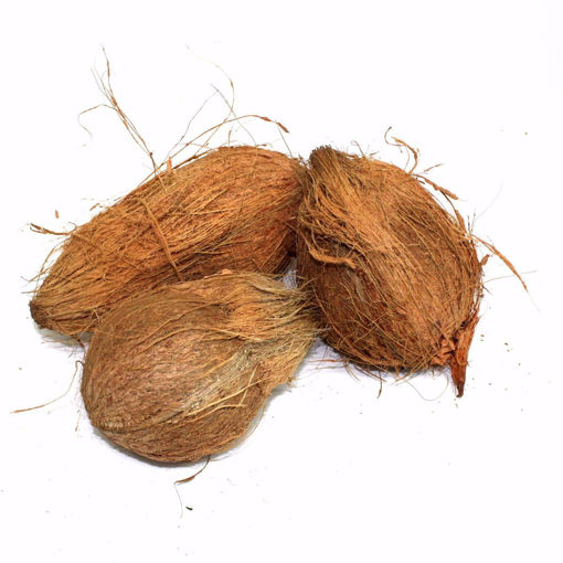 Picture of Coconut Single