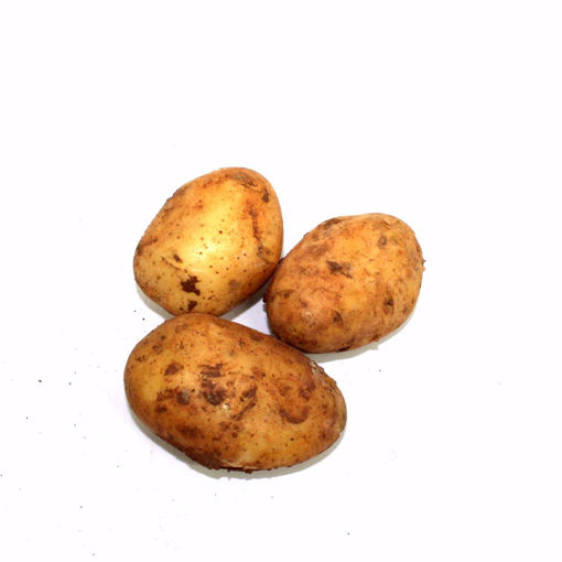 Picture of Cyprus Potato 1Kg
