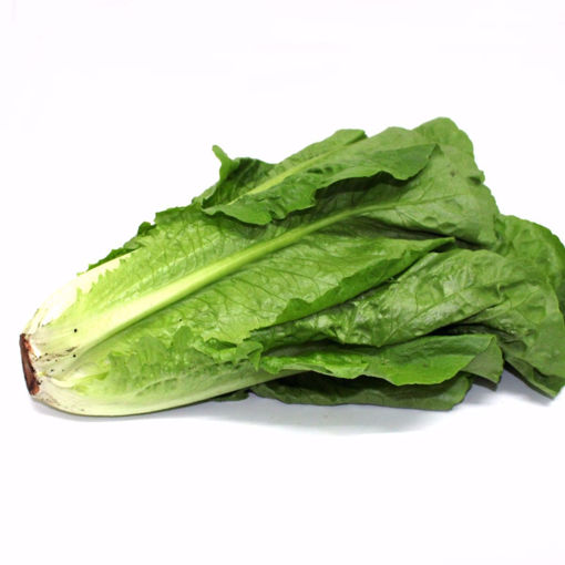 Picture of Cos Lettuce Single (Min. 500Gr)