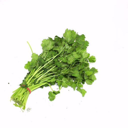 Picture of Coriander Bunch