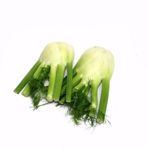 Picture of Fennel 750Gr