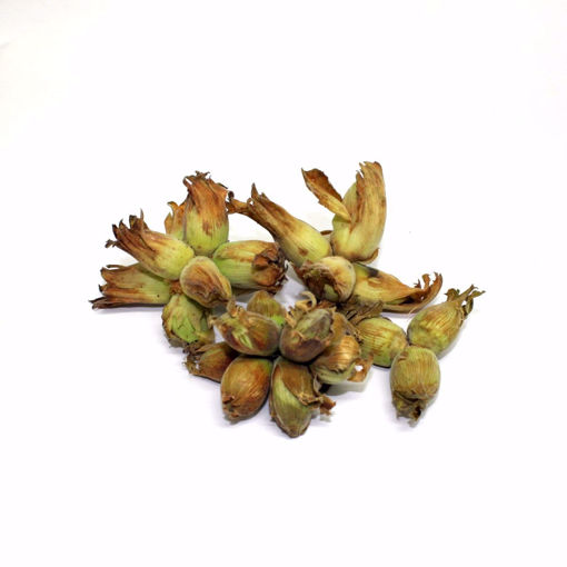 Picture of Fresh Hazelnuts 500Gr