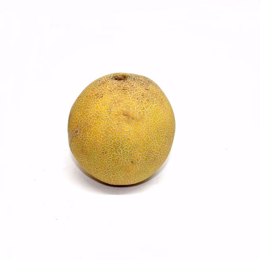 Picture of Galia Melon Single