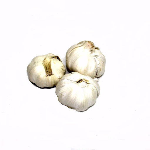 Picture of Garlic Single