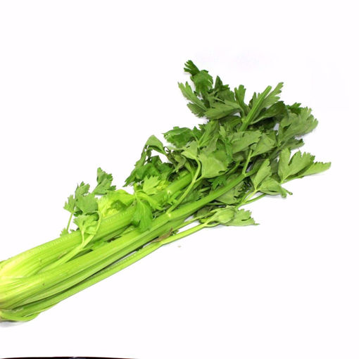 Picture of Celery Single