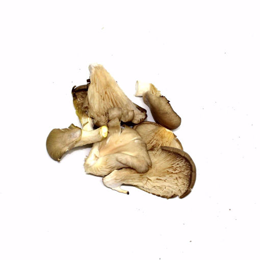 Picture of Oyster Mushroom 150Gr