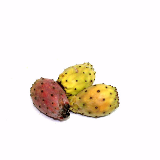 Picture of Prickly Pear 4 Pack