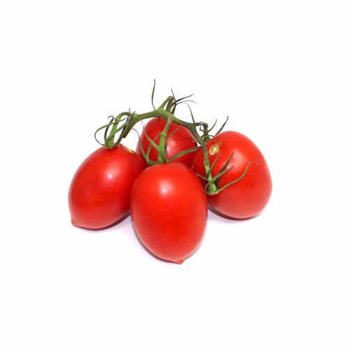 Picture of Plum Tomato 800Gr