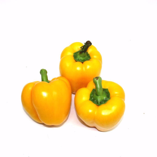 Picture of Yellow Cup Pepper 250Gr (Min1)