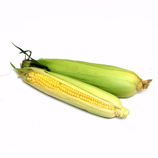 Picture of Sweetcorn Single