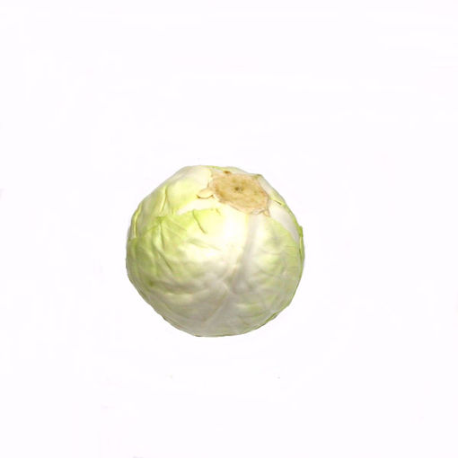 Picture of White Cabbage Single (Min. 1.190Gr)