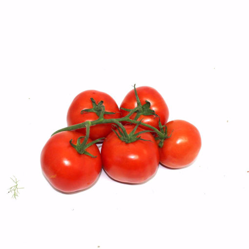 Picture of Vine Tomato 800Gr