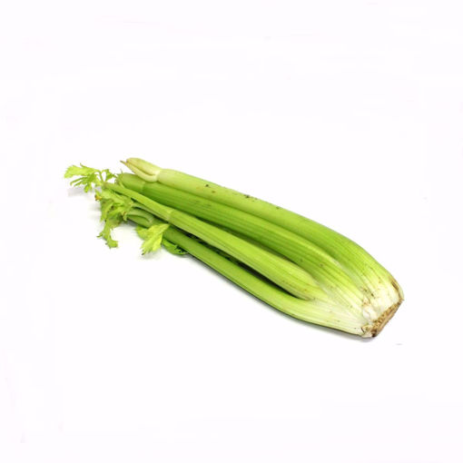 Picture of Short Celery Single