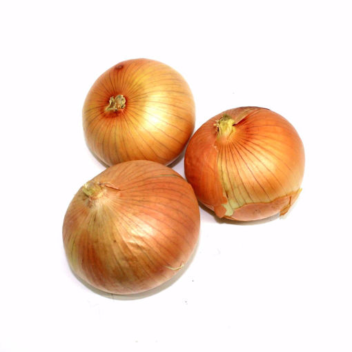Picture of Spanish Onion Single (Min. 500Gr)