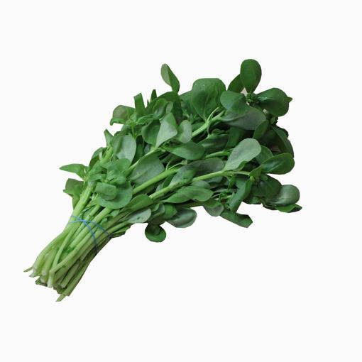 Picture of Purslane Each
