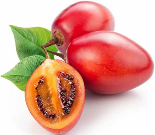 Picture of Tamarillo